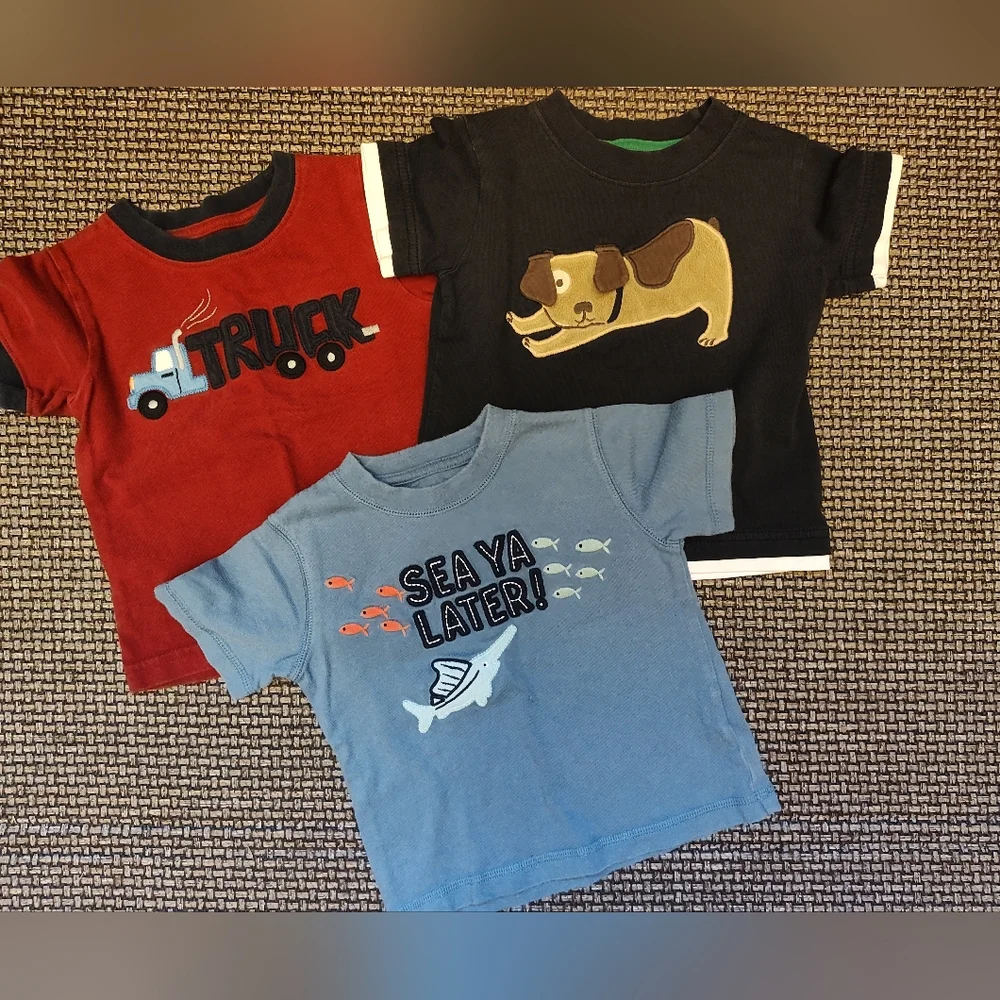 Gymboree Boys Set of 3 Graphic T-Shirts
